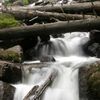 пазлы - Красивый лесной водопад